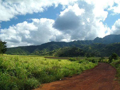 Landscape - Central Oahu