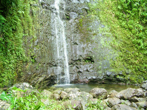 Manoa Falls