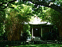 Photo 2 - Moanalua Gardens Tea House