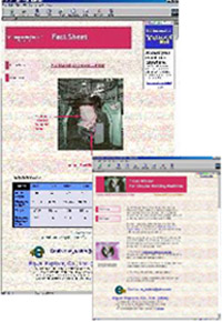 Image of EMClab2000.com (66k)